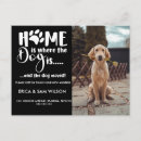 Search for golden retriever invitations We have moved