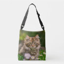 Search for maine coon cat bags Pet