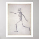 Search for human skeleton posters Stubbs