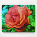 Search for summer rain electronics Flower