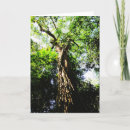 Search for messengers cards Green