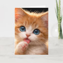 Search for licking cards Pet