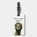 Search for big bird luggage tags Funny
