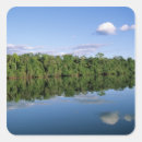 Search for amazon square stickers Rainforest