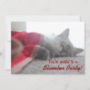 Search for cat sleepover invitations Kitten