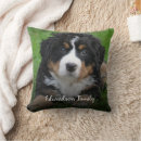 Search for photo collage cushions Instagram