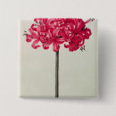 Search for narcissus badges Flower