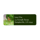 Search for fawn return address labels Nature