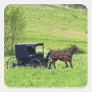 Search for amish stickers Ohio