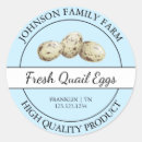 Search for quails Farm