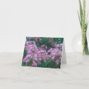 Search for silk cards Tree