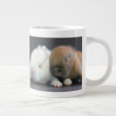 Search for netherland dwarf mugs Horizontal