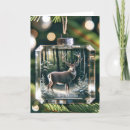 Search for buck christmas cards Wildlife