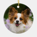 Search for papillon dog christmas tree decorations Cute