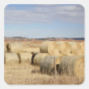 Search for hay bale stickers Autumn