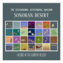 Search for sonoran posters Desert