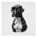 Search for boxer puppy posters Pug