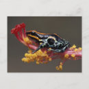 Search for amazon postcards Environment