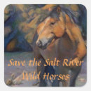 Search for mustangs gift wrap Stallions