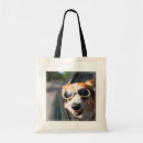 Search for goggles bags Pet