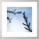 Search for comforting art Nature