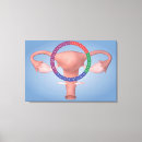 Search for four dimensional Biomedical illustrations