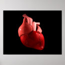 Search for human heart posters Health