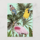 Search for bird of paradise postcards Greenery