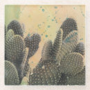 Search for desert coasters Cactus