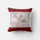 Search for christmas candy cushions Whimsical