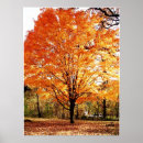 Search for maple leaf posters Fall season