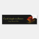 Search for botany bumper stickers Yellow