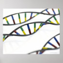 Search for molecule posters Science