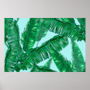 Search for vintage palm posters Hawaii