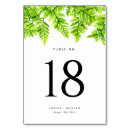 Search for fern table cards Watercolor