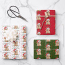 Search for golden retriever wrapping paper Pet