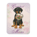 Search for dobies magnets Puppy