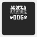 Search for adopt square stickers Dog