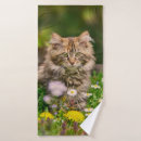 Search for kitten bath towels Tabby