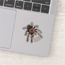 Search for tarantulas electronics Spider