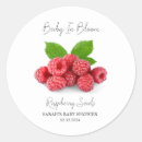 Search for raspberries stickers Raspberry