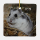 Search for mammal christmas tree decorations Rodent