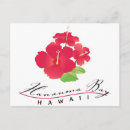 Search for hibiscus flower postcards Vacation