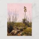 Search for desert flowers postcards Cactus