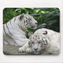Search for white tigers mouse mats Safari