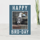 Search for birdwatching cards Ornithology