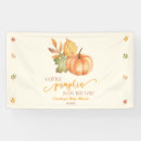 Search for pumpkin baby shower banners Party