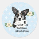 Search for cardigan corgi stickers Animal