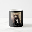 Search for loss of dog mugs Sympathy