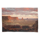 Search for national park pillowcases Utah